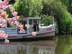 Das Alsterschiff Eilenau mit Fahrgästen auf einer Frühlingsfahrt beim Hamburger Stadtparksee - Blüte der Zierkirsche.