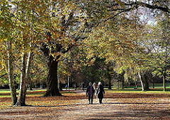 Herbstspaziergang durch das Herbstlaub im Hamburger Stadtpark.