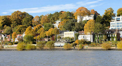 Elbufer in Hamburg Othmarschen - Wohnhäuser am Elbufer in Oevelgönne - Bäume mit herbstlich gefärbten Blättern am Elbhang.