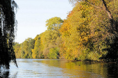 Herbstbäume am Ufer der Bille in Hamburg Billstedt.