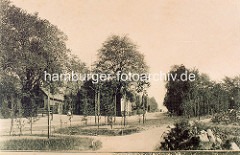 Blick über die alte Grünanlage im historischen Winterhude am Grasweg - lks. Häuser an der Ulmenstrasse.
