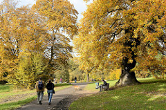 Herbststimmung im Hamburger Jenischpark - herbstlich gefärbte Bäume, Goldener Oktober - SpaziergängerInnen.