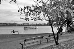 Herbststimmung in Schwarz-Weiss an der Hamburger Aussenalster im Stadtteil Rotherbaum - eine Frau sitzt auf einer Bank am Wasser - Spaziergänger mit Hund, Fahrgastschiff der weissen Alsterflotte in Fahrt.