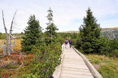 Mit  Wanderweg auf der Hochebene am Riesengebirge zur Elbquelle. Der Weg durch das Hochmoor "Labská louka" wird durch einen Holzsteg gesichtert.