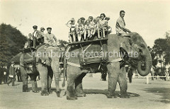 Reitelephanten in Hagenbecks Tierpark, Hamburg Stellingen; Kinder - Jungen und Mädchen sitzen auf Holzbänken auf dem Rücken der Elephanten, die über das Tierparkgelände laufen.