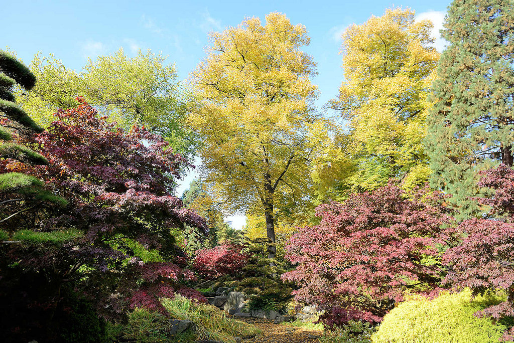 Bildarchiv Hamburg Foto Japanischer Garten Im Herbst