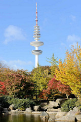 Japanischer Garten in Planten un Blomen in der Hamburger Innenstadt; herbstlich gefärbter Ahorn; Fernsehturm.