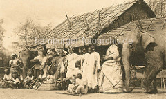 Indische Völkerschau / Hagenbeck; Gruppe Inder mit Kindern und Elefanten vor einer Strohhütte.
