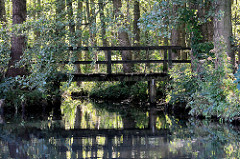 Holzbrücke über einen Kanal im Spreewald bei Schlepzig.