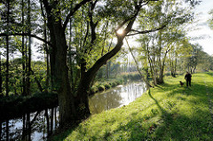 Lauf der Hauptspree bei Lübbenau - Bäume am Flussufer; Spaziergängerin mit Hund auf dem Deich.