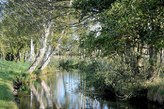 Lauf der Hauptspree bei Lübbenau im Spreewald - Erlen und Birken am Ufer.