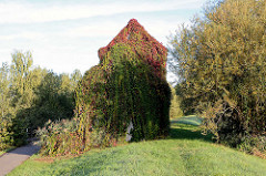 Pumpenhaus am Spreedeich in Lübbenau - das Gebäude ist mit Efeu und wildem Wein bewachsen.