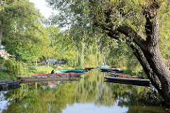 Bootshafen im Spreewald bei Lübbenau - Kähne mit Bänken / Sitzgelegenheiten für Touristen sind am Ufer festgemacht.