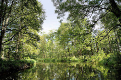 Fliess / Kanal im Spreewald bei Schlepzig - Bäume und Sträucher am Ufer.