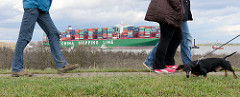 Spaziergänger mit Hund auf dem Elbdeich in Grünendeich - auf der Elbe der havarierte Containerfrachter CSCL Indian Ocean.