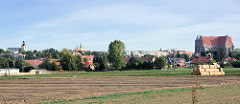 Blick über die Felder nach Striegau / Strzegom - re. die St.-Peter-und-Paul-Kirche in der Bildmitte der Rathausturm und der Marktturm - lks. die evangelische Pfarrkirche.