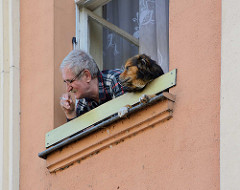 Hund mit Herrchen blicken aus einem Fenster in der Altstadt von Kłodzko / Glatz.