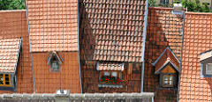 Dächer der Stadt Quedlinburg - Dachfenster unterschiedlicher Größe; rote Geranien.