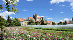 Blick über Blumenfelder / Blumenzucht zum Quedlinburger Schlossberg - romanische Stiftskirche St. Servatius, geweiht 1129; Renaissanceschloss aus dem 16./17. Jahrhundert jetzt Sitz vom  Städtischen Museum.
