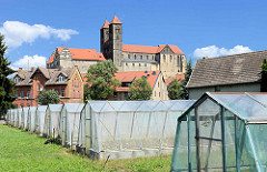 Treibhäuser mit Blumenzucht - Quedlinburger Schlossberg - romanische Stiftskirche St. Servatius, geweiht 1129; Renaissanceschloss aus dem 16./17. Jahrhundert jetzt Sitz vom  Städtischen Museum.
