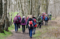 Wandergruppe zwischen Birkenstämmen auf einem der Wanderwege im Naturschutzgebiet Wittmoor in Hamburg Duvenstedt.