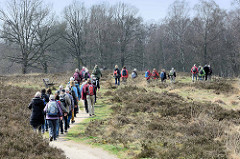 Wandergruppe zwischen Heidekraut auf einem der Wanderwege im Naturschutzgebiet Wittmoor in Hamburg Duvenstedt.