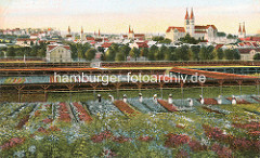 Historische Darstellung der Blumenzucht in Quedlinburg - Frauen arbeiten in den Blumenfeldern, im Hintergrund das Panorama der Stadt mit dem Schlossberg und Kirchtürmen.