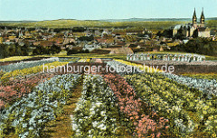 Historische Darstellung der Blumenzucht in Quedlinburg - Frauen arbeiten in den Blumenfeldern, im Hintergrund das Panorama der Stadt mit dem Schlossberg und Stiftskirche St. Servatius.