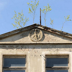 Dachgiebel / Tymphanon mit rundem Figurenrelief, abbröckelnder Putz - junge Birken, Birkentriebe wachsen auf dem Hausdach; Architekturbilder aus Ribnitz-Damgarten, Bahnhofsstraße.