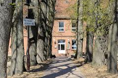 Lindenallee der Löwenzahnschule in Damgarten / Ribnitz-Damgarten; Schulgebäude / Backsteinarchitektur.