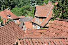 Dächer der Altstadt von Lauenburg.