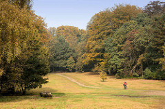 Herbstwald in Hamburg Niendorfer Gehege - hohe Bäume in Herbstfärbung, Radfahrer im Niendorfer Gehege.