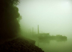 Nebel am Morgen - Ufer der Norderelbe bei Hamburg Entenwerder in dichtem Nebel gehüllt; Schemen von Dalben und Arbeitsschiffen.