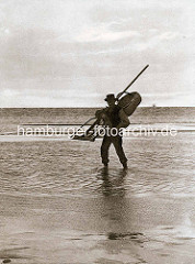 Historische Aufnahme von einem Krabbenfischer im Watt bei Cuxhaven.