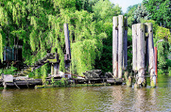 Alte Wassertreppe / Dalben aus Holz - mit Grünpflanzen überwucherter Holzponton in der Billwerder Bucht, Hamburg Rothenburgsort.