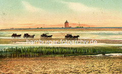Historische Ansicht von der Insel Neuwerk - eine Karawane von  Wattwagen fährt durch das Nordseewatt.