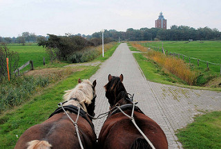 Pferde ziehen einen Wattwagen über Neuwerk - im Hintergrund der alte Leuchtturm.