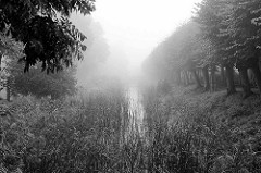 Norder Wallgraben in Otterndorf - Schilf und Alleebäume verschwinden im Nebel.