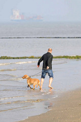 Spaziergänger mit Hund am Elbufer in Otterndorf, der will ins Wasser - Herrchen nicht; im Hintergrund fährt ein Containerschiff elbaufwärts.