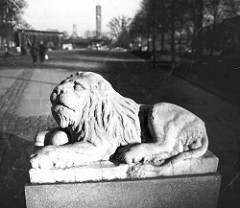 Skulptur Löwe am Marktplatz von Hamburg Wandsbek - die Figur hatte  früher ihren Standort am Eingang der Auffahrt zum Wandbeker Schloss in Höhe der Straße Schloßgarten.