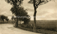 Altes Bild - Landstraße und Felder bei Cuxhaven.