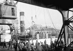 Ein Zirkuselefant wird im Hamburger Hafen / Magdeburger Hafen aus einem Frachtschiff entladen - Hafenarbeiter und Kranführer sehen zu.