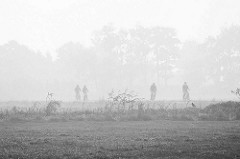 Radausflug im Herbst - Radfahrer / Radfahrerin auf einem Feldweg im Nebel bei Otterndorf.