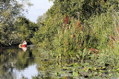 Kanu im Neuengammer Durchstich - der Kanal hat eine Länge von 2,6 km und verbindet die  Gose Elbe und Dove Elbe in den Hamburger Vierlanden..