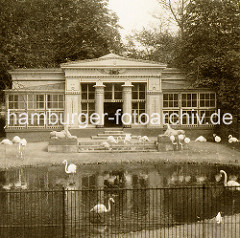 Ansicht vom Stelzvogelhaus im Tiergarten beim Dammtor - Flamingos stehen im Teich vor der klassizistischen Architektur des Vogelhauses.