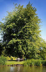Erholung am Ufer des Aßmannkanals - ein Besucher der Grünanlage entlang des Kanalufers hat sich auf eine Parkbank unter einen Baum in die Sonne gesetzt.