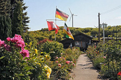 Blumenpracht im Kleingarten 723 am Niedergeorgswerder Deich; Pfingstrosen und Strauchrosen stehen in voller Blüte.