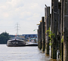 Liegeplatz für Binnenschiffe am Elbufer der Süderelbe in Hamburg Wilhelmsburg, Finkenriek  Stillhorn. Am Ufer stehen alte Holzdalben aus Baumstämmen in den Boden gerammt.