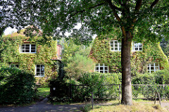 Einzelhäuser / Stadtvilla, Stadtvillen dicht mit wildem Wein bewachsen; Architekturbilder aus Hamburg Fuhlsbüttel.