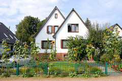 Doppeltes Wohnhaus / Doppelhaus  mit Spitzdach - blühende Sonnenblumen im Vorgarten.